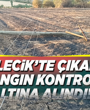bilecik yangın