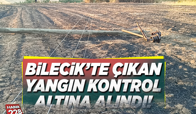 Bilecik’te çıkan anız yangını söndürüldü