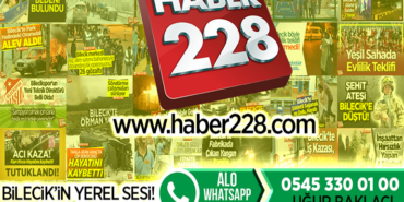 haber228.