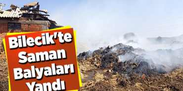 Bilecik'te Saman Balyaları Yandı