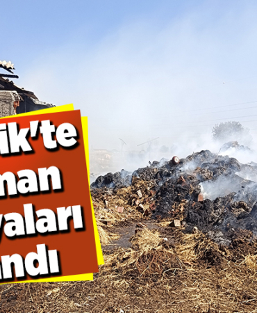 Bilecik'te Saman Balyaları Yandı