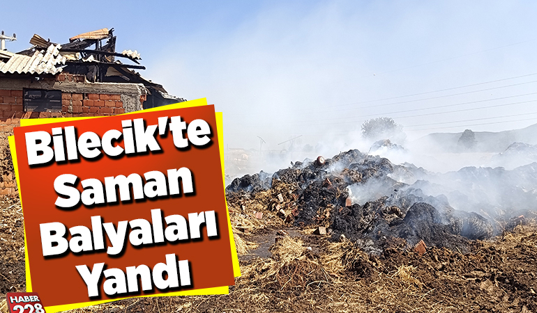 Bilecik’te Saman Balyaları Yandı