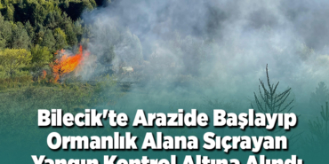 Bilecik'te arazide başlayıp ormanlık alana sıçrayan yangın kontrol altına alındı
