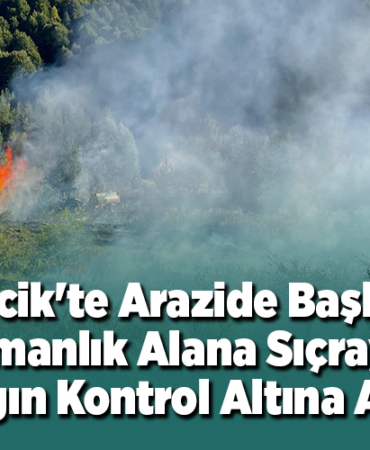 Bilecik'te arazide başlayıp ormanlık alana sıçrayan yangın kontrol altına alındı