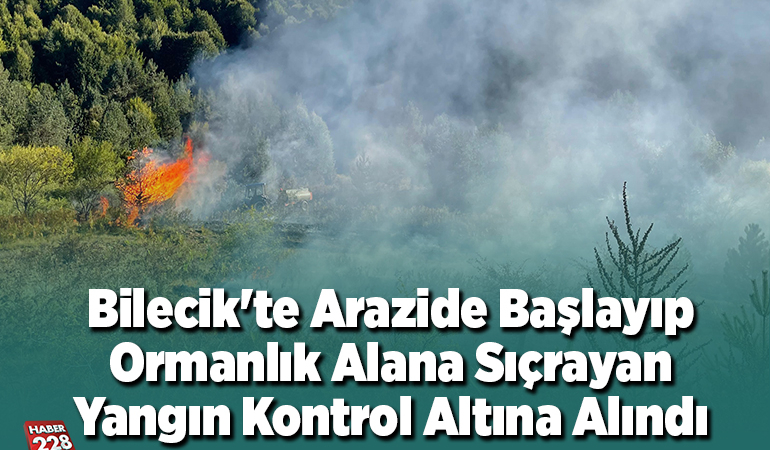 Bilecik’te arazide başlayıp ormanlık alana sıçrayan yangın kontrol altına alındı