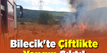 Bilecik'te çiftlikte yangın çıktı!