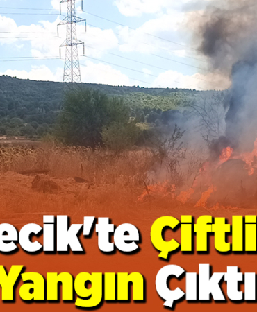Bilecik'te çiftlikte yangın çıktı!