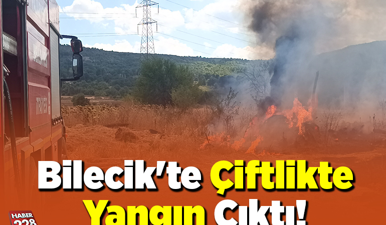 Bilecik’te çiftlikte yangın çıktı!
