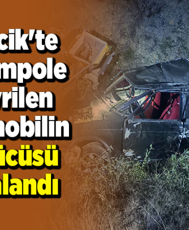 Bilecik'te şarampole devrilen otomobilin sürücüsü yaralandı