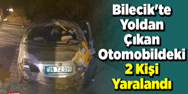 Bilecik'te yoldan çıkan otomobildeki 2 kişi yaralandı