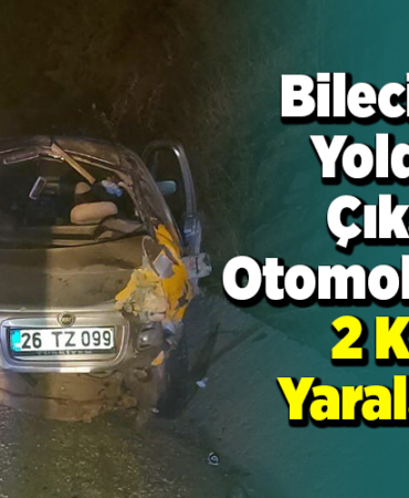 Bilecik'te yoldan çıkan otomobildeki 2 kişi yaralandı