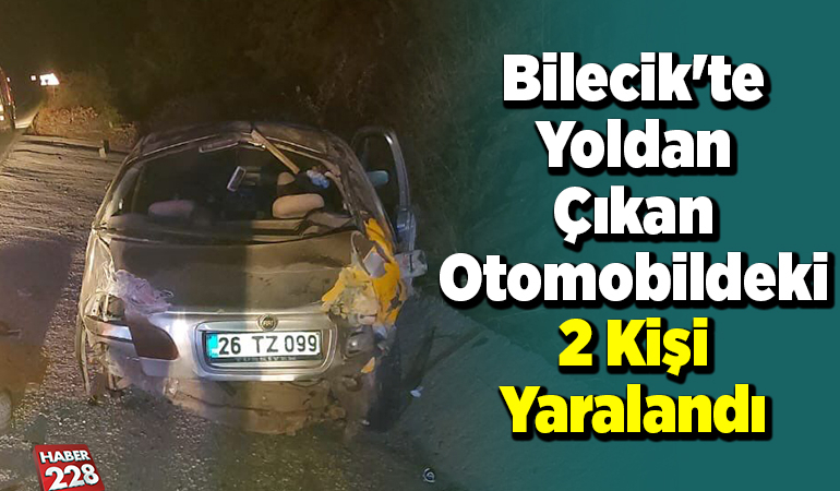 Bilecik’te yoldan çıkan otomobildeki 2 kişi yaralandı