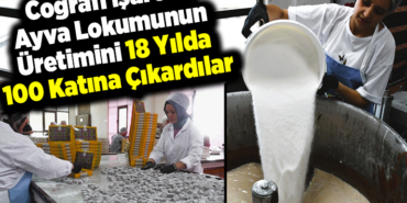 Coğrafi işaretli ayva lokumunun üretimini 18 yılda 100 katına çıkardılar