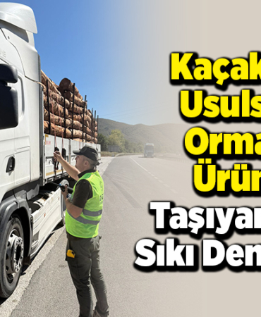 Kaçak ve Usulsüz Orman Ürünü Taşıyanlara Sıkı Denetim!