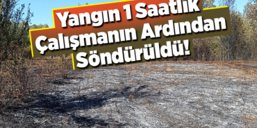 Yangın 1 saatlik çalışmanın ardından söndürüldü!