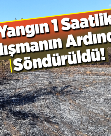 Yangın 1 saatlik çalışmanın ardından söndürüldü!