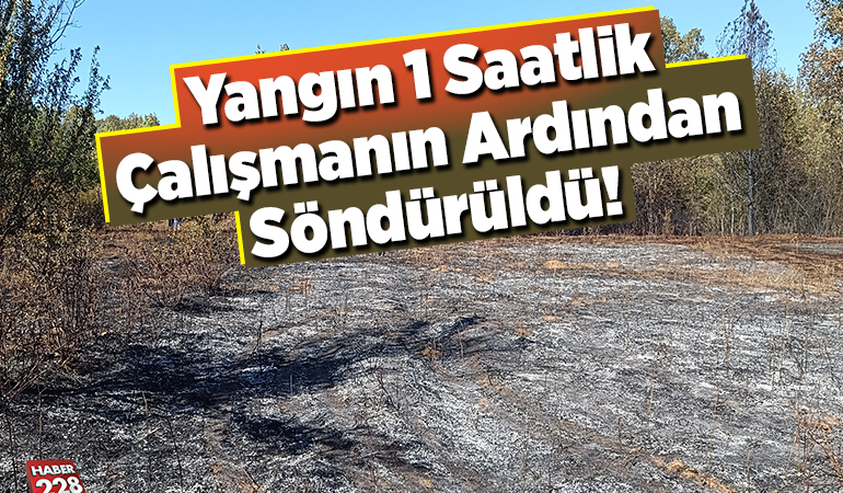 Yangın 1 saatlik çalışmanın ardından söndürüldü!