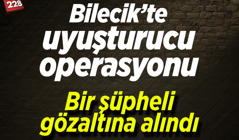 Bilecik’te uyuşturucu operasyonunda 1 zanlı yakalandı