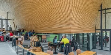 Akustik_Panel_Ahsap_Linear_Dogrusal