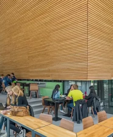 Akustik_Panel_Ahsap_Linear_Dogrusal