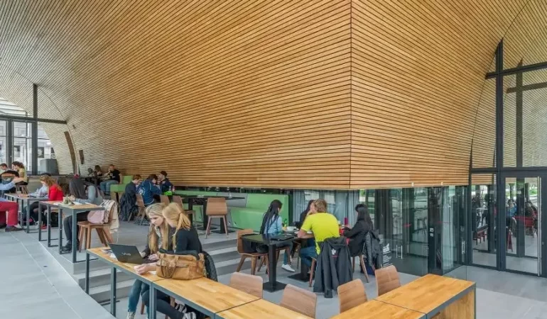 Ahşap Paneller Nedir? Hangi Alanlarda Kullanılır?