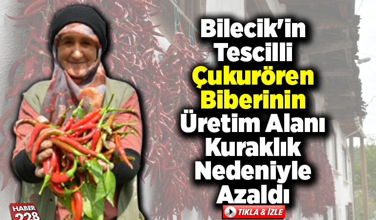 Bilecik’in tescilli “Çukurören biberi”nin üretim alanı kuraklık nedeniyle azaldı