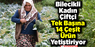 Bilecikli kadın çiftçi tek başına 14 çeşit ürün yetiştiriyor