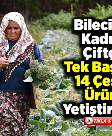 Bilecikli kadın çiftçi tek başına 14 çeşit ürün yetiştiriyor