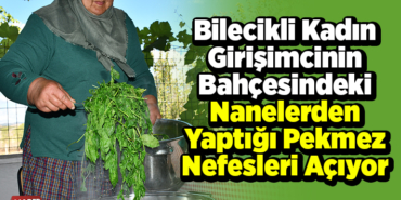 Bilecikli kadın girişimcinin bahçesindeki nanelerden yaptığı pekmez nefesleri açıyor