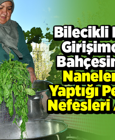 Bilecikli kadın girişimcinin bahçesindeki nanelerden yaptığı pekmez nefesleri açıyor