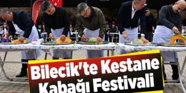 Bilecik'te Kızıldamlar Kestane Kabağı Festivali yapıldı