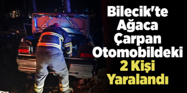 Bilecik'te ağaca çarpan otomobildeki 2 kişi yaralandı