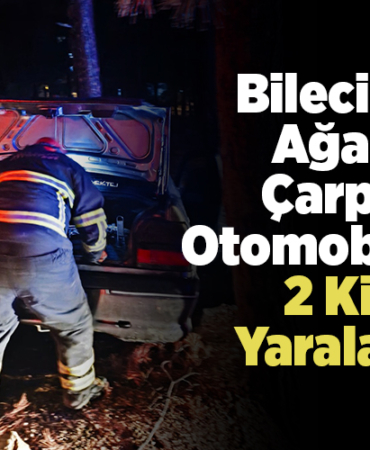 Bilecik'te ağaca çarpan otomobildeki 2 kişi yaralandı