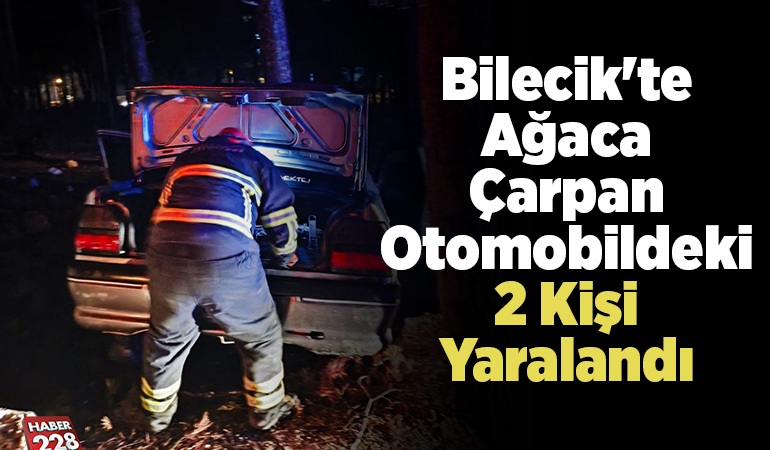 Bilecik’te ağaca çarpan otomobildeki 2 kişi yaralandı