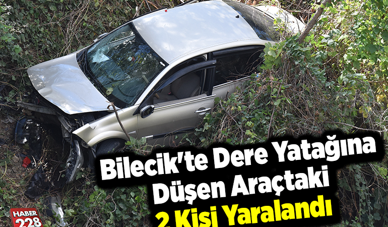 Bilecik’te yatağına düşen araçtaki 2 kişi yaralandı