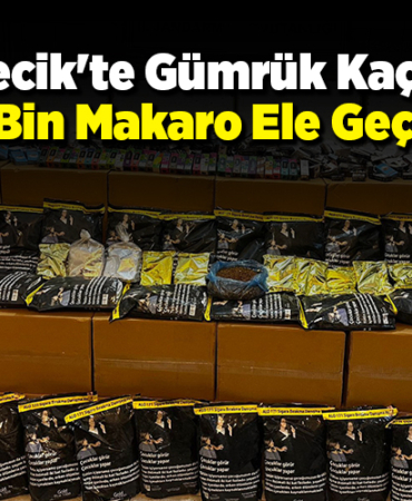 Bilecik'te gümrük kaçağı 569 bin makaron ele geçirildi