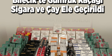 Bilecik'te gümrük kaçağı sigara ve çay ele geçirildi