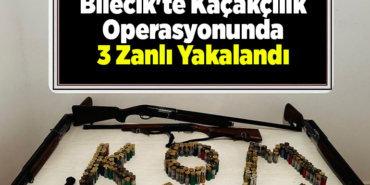 Bilecik'te kaçakçılık operasyonunda 3 zanlı yakalandı