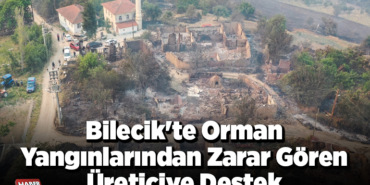 Bilecik'te orman yangınlarından zarar gören üreticiye destek