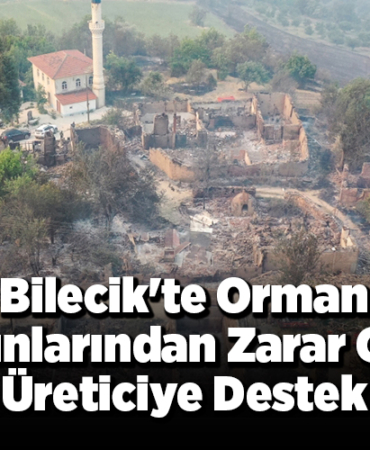 Bilecik'te orman yangınlarından zarar gören üreticiye destek