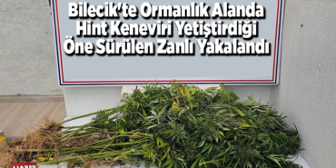 Bilecik'te ormanlık alanda Hint keneviri yetiştirdiği öne sürülen zanlı yakalandı