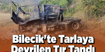 Bilecik'te tarlaya devrilen tır yandı