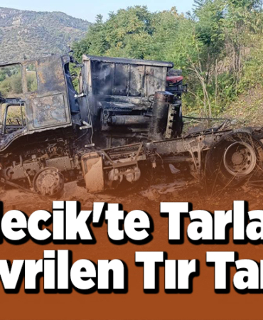 Bilecik'te tarlaya devrilen tır yandı