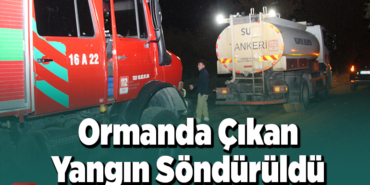Ormanda çıkan yangın söndürüldü