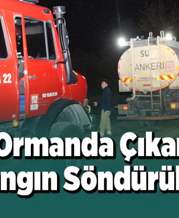 Ormanda çıkan yangın söndürüldü