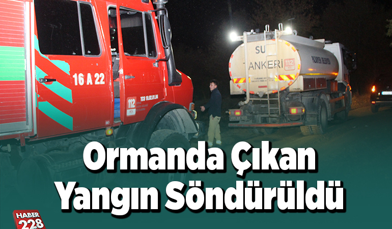 Ormanda çıkan yangın söndürüldü