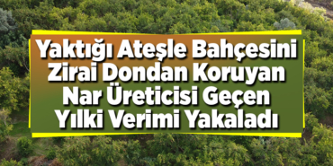 Yaktığı ateşle bahçesini zirai dondan koruyan nar üreticisi geçen yılki verimi yakaladı