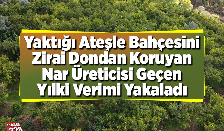 Yaktığı ateşle bahçesini zirai dondan koruyan nar üreticisi geçen yılki verimi yakaladı