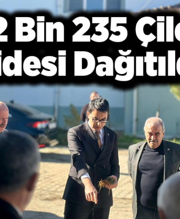 42 bin 235 çilek fidesi dağıtıldı