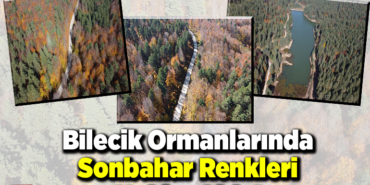 Bilecik ormanlarında sonbahar renkleri hakim oldu